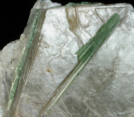 Elbaite Tourmaline in Muscovite from (Dunton Quarry, Newry), Oxford County, Maine