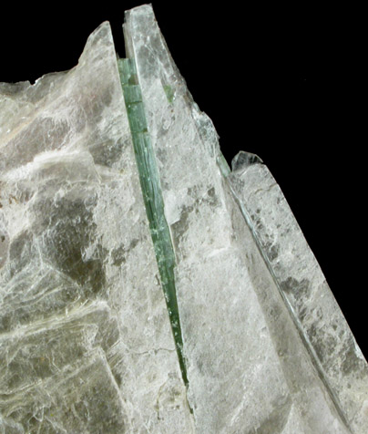 Elbaite Tourmaline in Muscovite from (Dunton Quarry, Newry), Oxford County, Maine