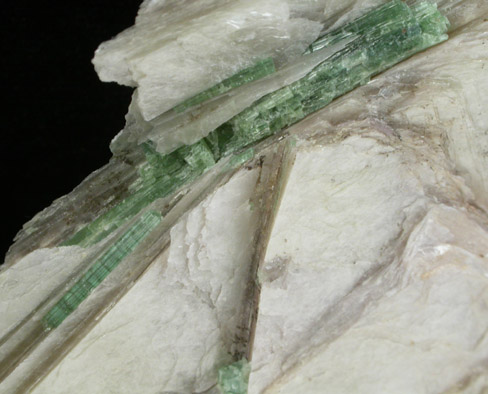 Elbaite Tourmaline in Muscovite from (Dunton Quarry, Newry), Oxford County, Maine
