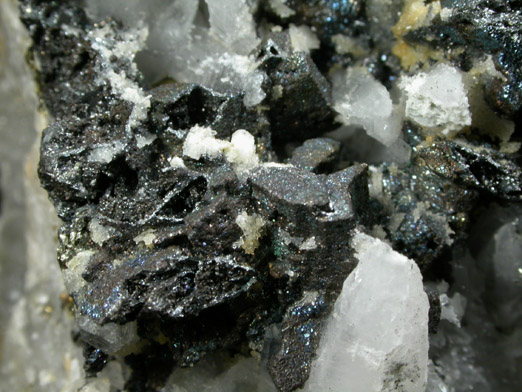 Tennantite on Quartz and Pyrite from Butte Mining District, Summit Valley, Silver Bow County, Montana