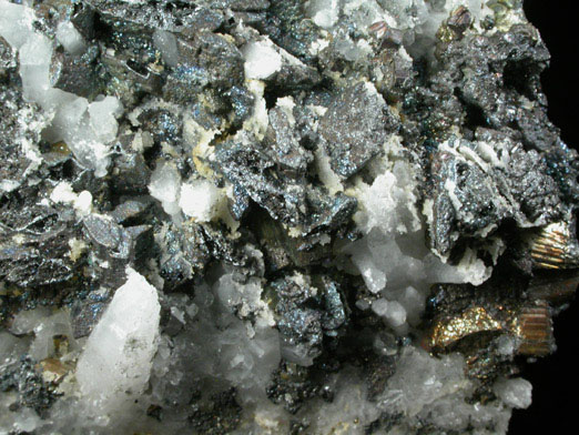 Tennantite on Quartz and Pyrite from Butte Mining District, Summit Valley, Silver Bow County, Montana