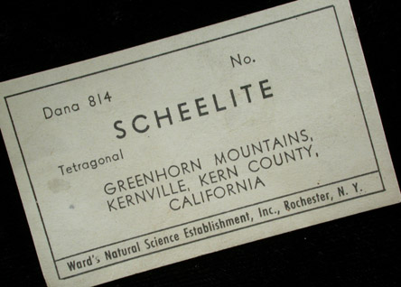 Scheelite from Kernville, Greenhorn Mountains, Kern County, California