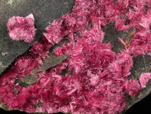 Erythrite from Mount Cobalt Mine, Mount Isa-Cloncurry District, Queensland, Australia