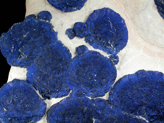 Azurite in clay matrix from Malbunka Mine, Areyonga, Northern Territory, Australia