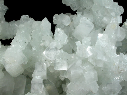 Apophyllite on Prehnite pseudomorphs after Laumontite from Bombay Quarry, Mumbai (Bombay), Maharastra, India