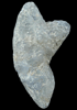 Corundum var. Sapphire from Bibile, Monaragala District, Uva Province, Sri Lanka (formerly Ceylon)