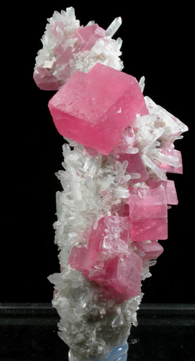 Rhodochrosite on Quartz from Sweet Home Mine, Hedgehog Pocket, Buckskin Gulch, Alma District, Park County, Colorado