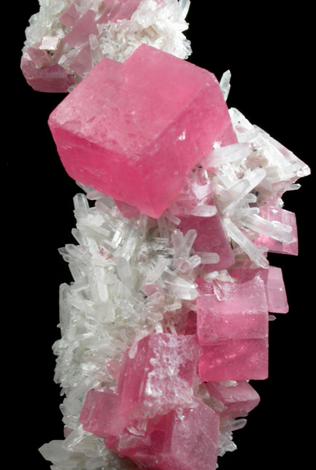 Rhodochrosite on Quartz from Sweet Home Mine, Hedgehog Pocket, Buckskin Gulch, Alma District, Park County, Colorado