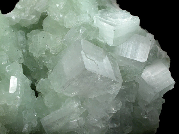 Hydroxyapophyllite-(K) (formerly apophyllite-(KOH)) on Prehnite from Bull Run Quarry, near Conklin, Loudoun County, Virginia