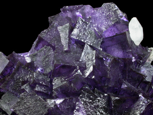 Fluorite with Calcite from Elmwood Mine, Carthage, Smith County, Tennessee