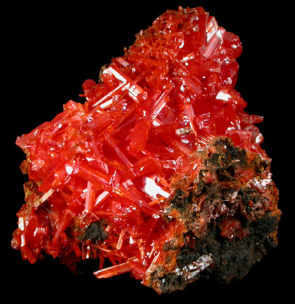 Crocoite from Red Lead Mine, Dundas, Tasmania, Australia