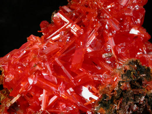 Crocoite from Red Lead Mine, Dundas, Tasmania, Australia