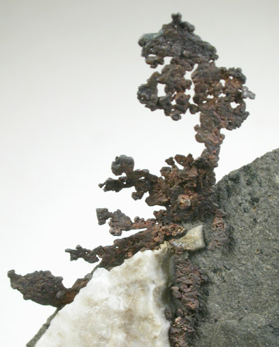 Copper from Chimney Rock Quarry, Bound Brook, Somerset County, New Jersey