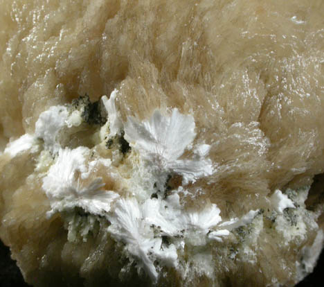 Stilbite-Ca with Laumontite from Prospect Park Quarry, Prospect Park, Passaic County, New Jersey