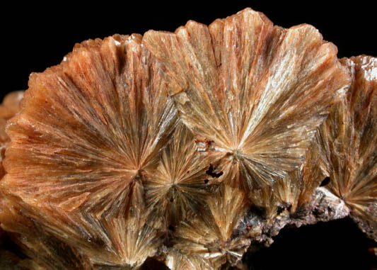 Stilbite-Ca from Upper Montclair, Essex County, New Jersey