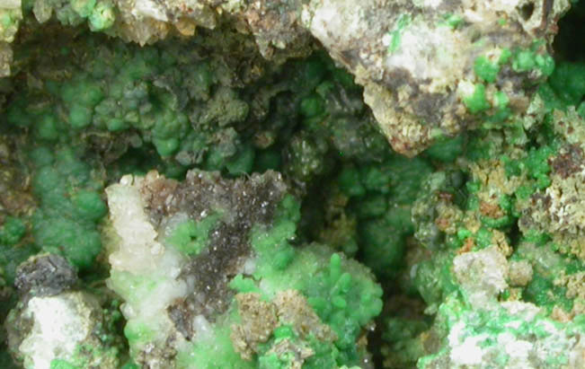 Conichalcite on Quartz from Tintic District, Juab County, Utah