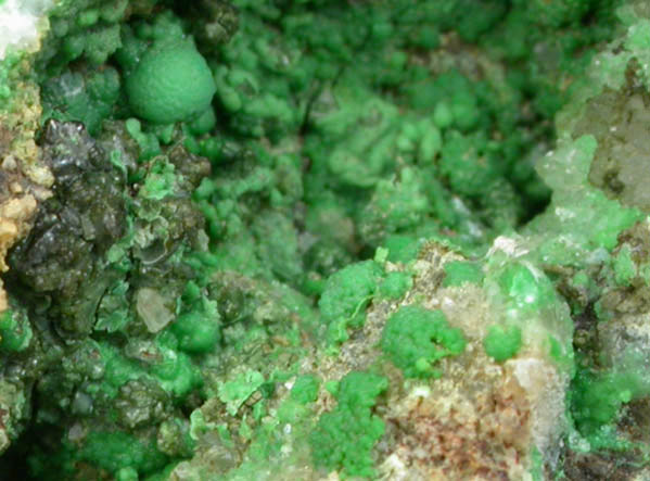 Conichalcite on Quartz from Tintic District, Juab County, Utah