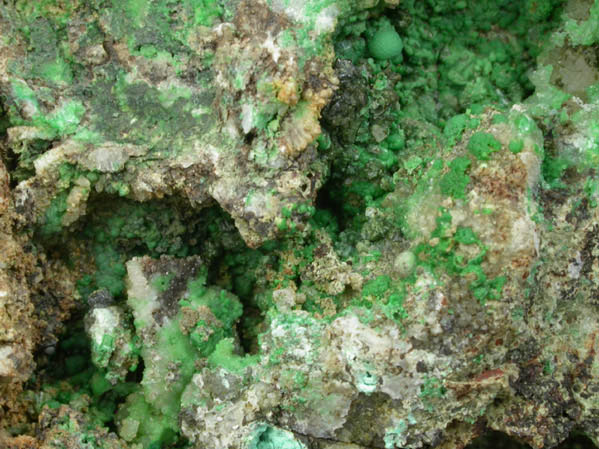 Conichalcite on Quartz from Tintic District, Juab County, Utah