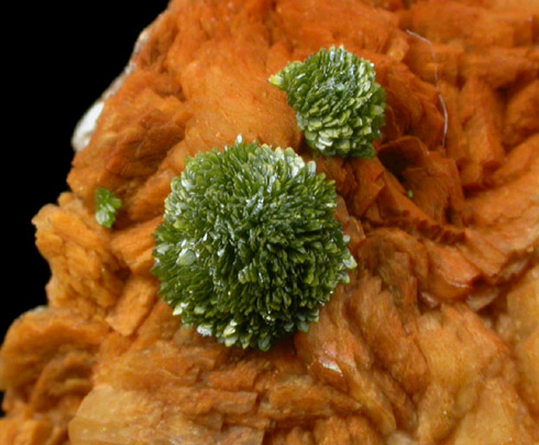 Rodalquilarite on Alunite from Wendy Open Pit, Tambo Mine, Elqui Province, Coquimbo, Chile