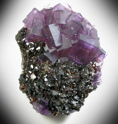 Fluorite and Sphalerite from Denton Mine, Harris Creek District, Hardin County, Illinois