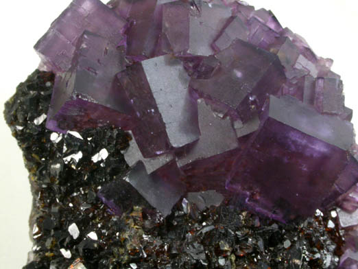 Fluorite and Sphalerite from Denton Mine, Harris Creek District, Hardin County, Illinois