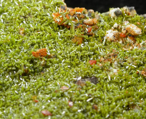 Pyromorphite with Wulfenite from Southwest Chester County Mine, Phoenixville, Chester County, Pennsylvania