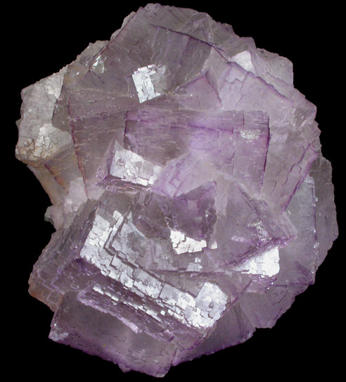 Fluorite from Melchor Mzquiz, Coahuila, Mexico