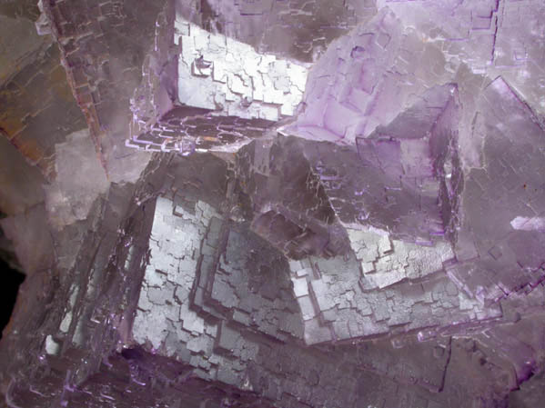 Fluorite from Melchor Mzquiz, Coahuila, Mexico