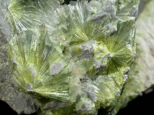 Wavellite from Dug Hill near Avant, Garland County, Arkansas