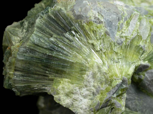 Wavellite from Dug Hill near Avant, Garland County, Arkansas