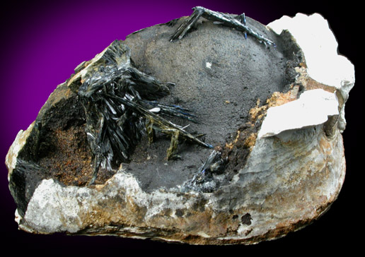 Vivianite in fossilized clam from Kerch Iron-Ore Basin, astern Crimea, Ukraine