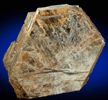 Siderophyllite-Polylithionite var. Zinnwaldite from Morefield Mine, Amelia Courthouse, Amelia County, Virginia