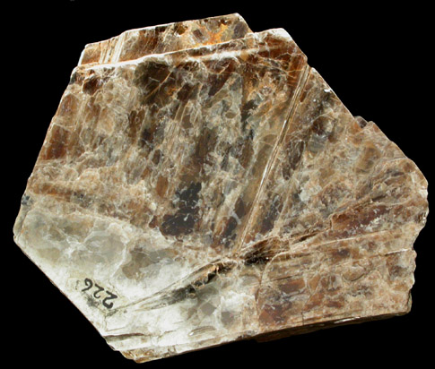 Siderophyllite-Polylithionite var. Zinnwaldite from Morefield Mine, Amelia Courthouse, Amelia County, Virginia
