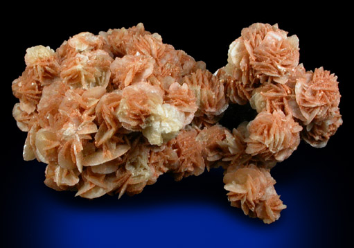 Gypsum var. Desert Rose from (near Paducah), (Cottle County), Texas