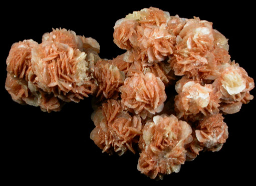 Gypsum var. Desert Rose from (near Paducah), (Cottle County), Texas