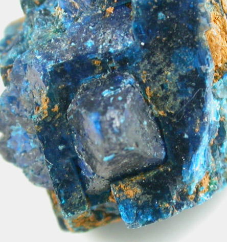 Cumengeite on Boleite from Amelia Mine, Boleo District, near Santa Rosala, Baja California Sur, Mexico (Type Locality for Cumengite and Boleite)