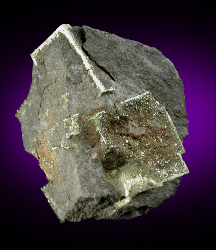 Pyrite from Chicago Aggregates Tunnel, (Chicago, Cook County), (Illinois)