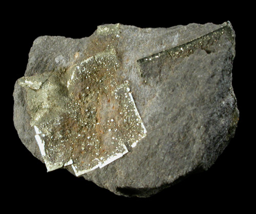 Pyrite from Chicago Aggregates Tunnel, (Chicago, Cook County), (Illinois)