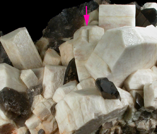 Microcline (Manebach-Law Twinned) with Smoky Quartz from Crystal Peak area, 6.5 km northeast of Lake George, Park-Teller Counties, Colorado