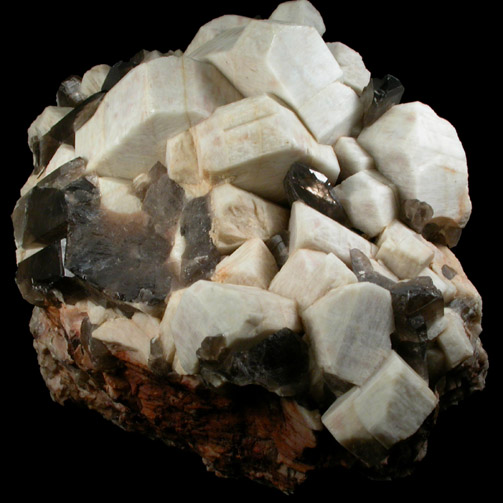 Microcline (Manebach-Law Twinned) with Smoky Quartz from Crystal Peak area, 6.5 km northeast of Lake George, Park-Teller Counties, Colorado