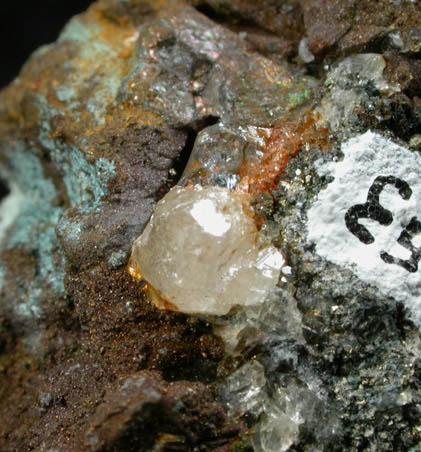 Calcite on Pyrite with Scheelite from Bansk Stiavnica (formerly Selmecbanya), Slovenske Rudohorie Mountains, Bansk Bystrica Region, Slovak Republic (Slovakia)