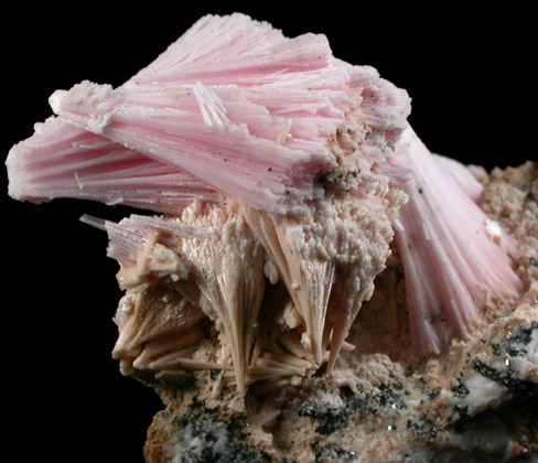 Kutnohorite from Wessels Mine, Kalahari Manganese Field, Northern Cape Province, South Africa