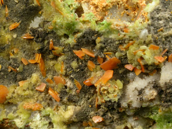 Wulfenite with Pyromorphite from Manhan Lead Mines, Loudville District, 3 km northwest of Easthampton, Hampshire County, Massachusetts