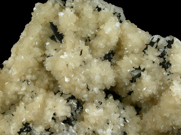 Stilbite-Ca on Calcite with Clinochlore from Laurel Hill (Snake Hill) Quarry, Secaucus, Hudson County, New Jersey