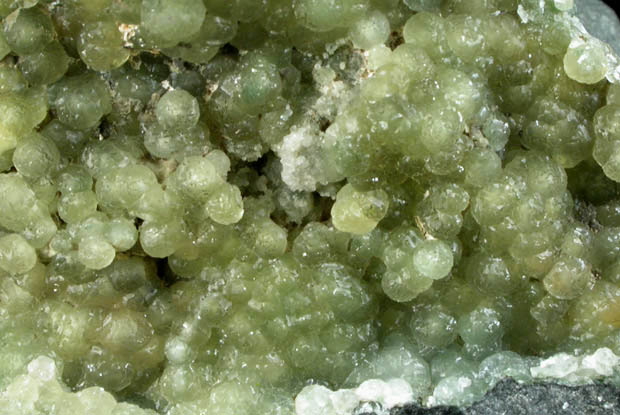 Prehnite from Airport land fill, Wayne, Passaic County, New Jersey