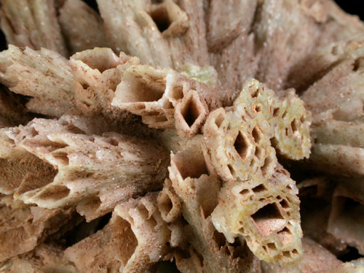 Quartz pseudomorphs after Anhydrite from Houdaille Quarry (Consolidated Quarry), Little Falls Twp., north of Montclair State University, Essex County, New Jersey