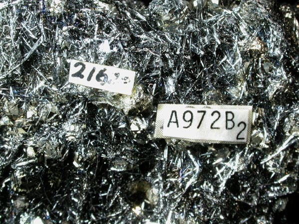 Andorite with Zinkenite on Pyrite from San Jose Mine, Oruro Department, Bolivia