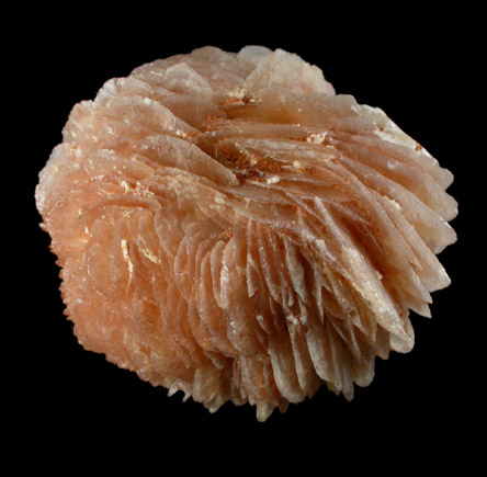 Gypsum var. Desert Rose from Saltillo, Coahuila, Mexico