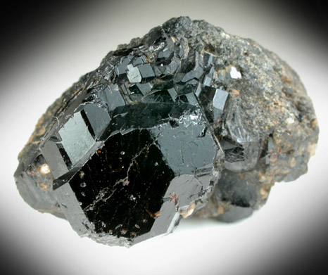 Dravite-Uvite Tourmaline from Bower Power's Farm, Pierrepont, St. Lawrence County, New York