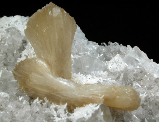 Stilbite-Ca, Laumontite, Calcite, Quartz from Prospect Park Quarry, Prospect Park, Passaic County, New Jersey